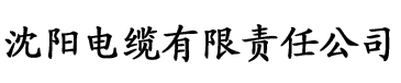 日韩欧美国产亚洲制服电缆厂logo